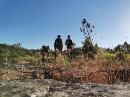 2021-06-05 e 6 FORMEX 1